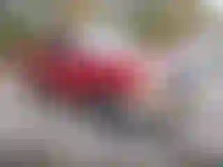 Vehicle Image- 1996 Ford F-150