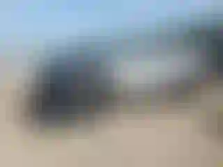 Vehicle Image- 2024 Ford Ranger