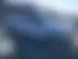 Vehicle Image- 2019 Ford F-150