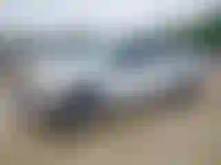 Vehicle Image- 2019 Ford F-150