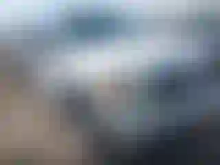 Vehicle Image- 2010 Ford F-150