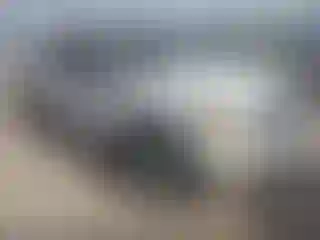 Vehicle Image- 2010 Ford F-150