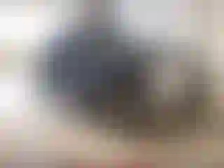 Vehicle Image- 2010 Ford F-150