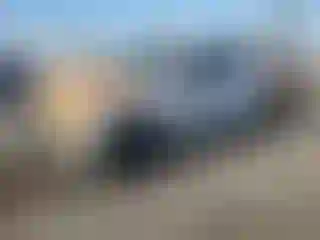 Vehicle Image- 2017 Ford F-150