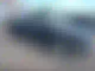 Vehicle Image- 2010 Ford F-150