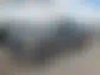 Vehicle Image- 2017 Ford F-150