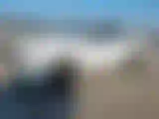 Vehicle Image- 2017 Ford F-150