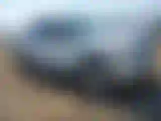 Vehicle Image- 2013 Ford F-150