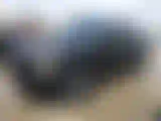 Vehicle Image- 2019 Ford F-150