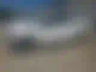 Vehicle Image- 2019 Ford F-150