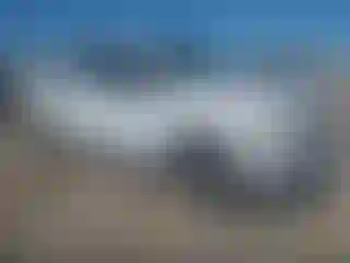 Vehicle Image- 2019 Ford F-150