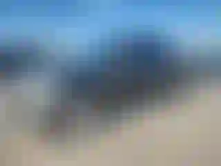 Vehicle Image- 2020 Ford F-150