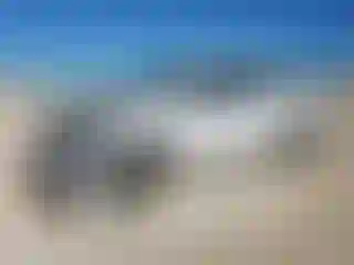 Vehicle Image- 2019 Ford F-150