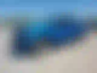 Vehicle Image- 2019 Ford F-150