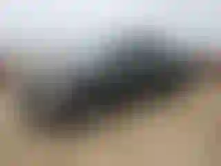 Vehicle Image- 2016 Ford F-150