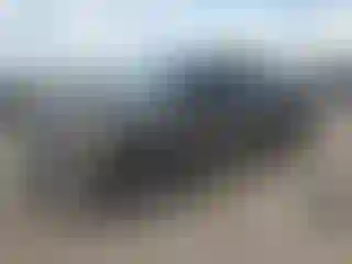Vehicle Image- 2021 Ford F-150