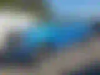 Vehicle Image- 2019 Ford F-150