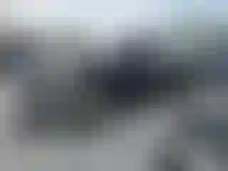 Vehicle Image- 2016 Ford F-150