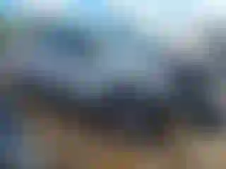 Vehicle Image- 2010 Ford F-150