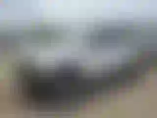 Vehicle Image- 2019 Ford F-150