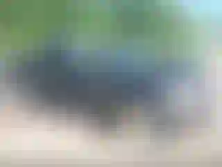 Vehicle Image- 2020 Ford F-150