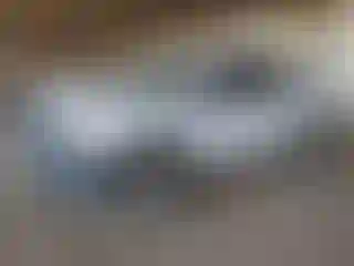 Vehicle Image- 2019 Ford F-150