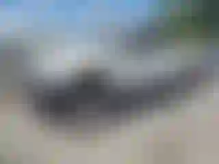 Vehicle Image- 2020 Ford F-150