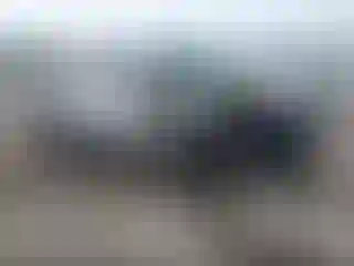 Vehicle Image- 2019 Ford F-150