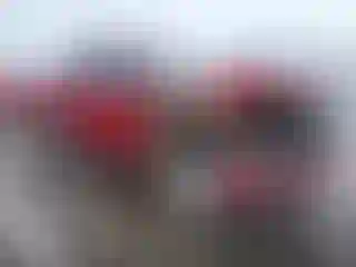 Vehicle Image- 2019 Ford F-150