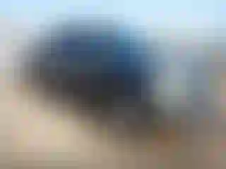Vehicle Image- 2019 Ford F-150