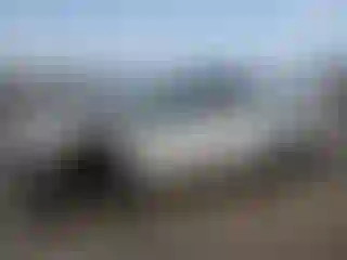 Vehicle Image- 2020 Ford F-150