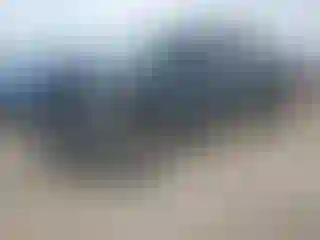 Vehicle Image- 2020 Ford F-150