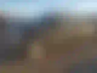 Vehicle Image- 2019 Ford F-150