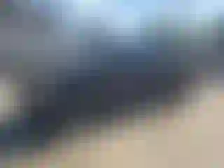 Vehicle Image- 2019 Ford F-150