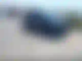 Vehicle Image- 2019 Ford F-150