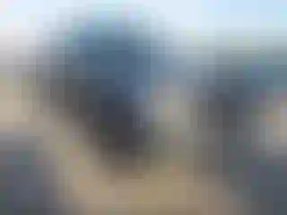 Vehicle Image- 2020 Ford F-150