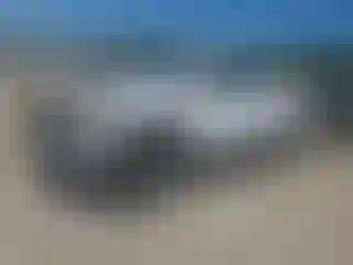 Vehicle Image- 2018 Ford F-150