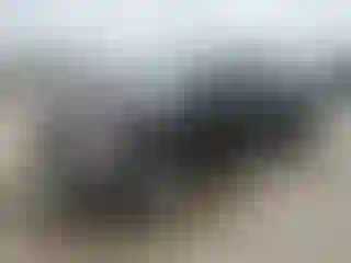 Vehicle Image- 2019 Ford F-150
