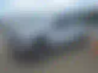 Vehicle Image- 2019 Ford F-150