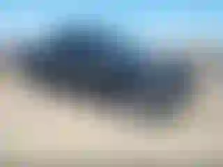 Vehicle Image- 2020 Ford F-150