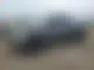 Vehicle Image- 2019 Ford F-150