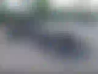 Vehicle Image- 2019 Ford F-150