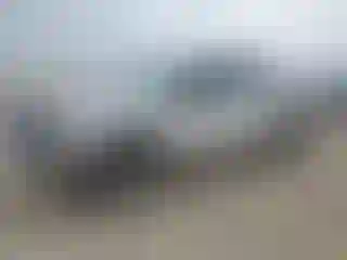 Vehicle Image- 2019 Ford F-150