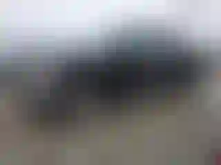 Vehicle Image- 2020 Ford F-150