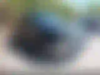 Vehicle Image- 2010 Ford F-150