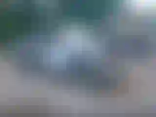 Vehicle Image- 2015 Ford F-150