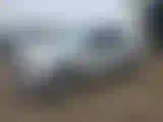 Vehicle Image- 2016 Ford F-150