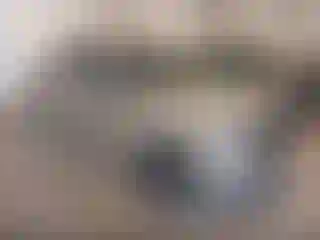 Vehicle Image- 2010 Ford F-150