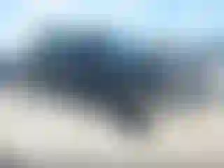 Vehicle Image- 2016 Ford F-150