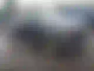 Vehicle Image- 2016 Ford F-150